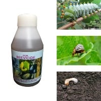 ROM Beauveria bassiana, for the control of hard bodied insects-Liquid